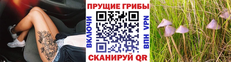 ссылка на мегу ССЫЛКА Пролетарск Псилоцибиновые грибы Cubensis